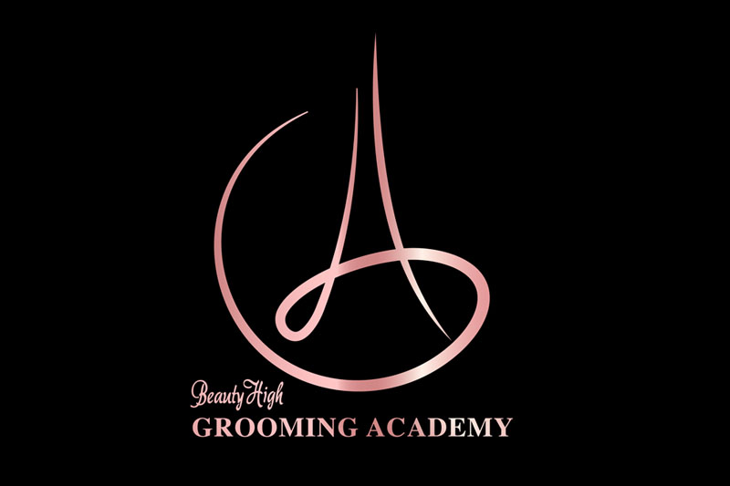 Apply for Miss Himachal